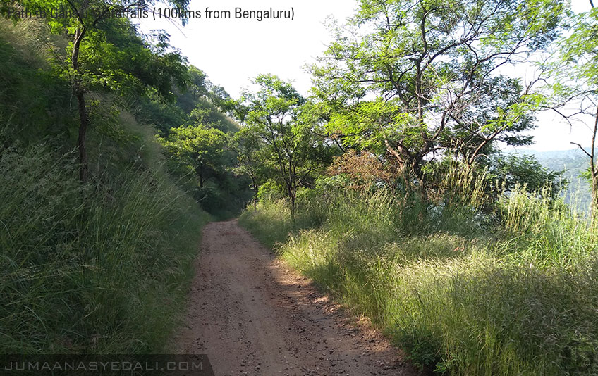 Ganalu Falls - Experience the nature's beauty, that has been rarely explored! Just 100Kms from Bengaluru, a bike ride will make it an amazing experience to remember for long! Ganalu Falls - Experience the nature's beauty, that has been rarely explored! Just 100Kms from Bengaluru, a bike ride will make it an amazing experience to remember for long!