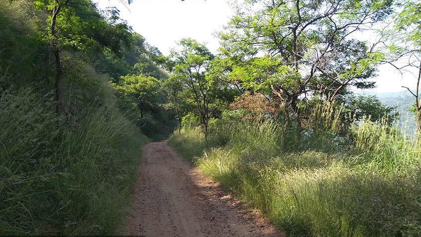 Ganalu Falls - Experience the nature's beauty, that has been rarely explored! Just 100Kms from Bengaluru, a bike ride will make it an amazing experience to remember for long!
