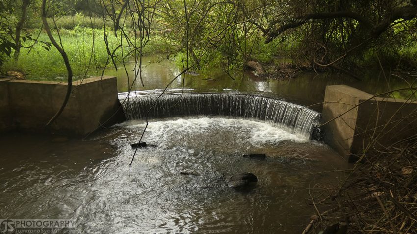 Ranganathittu Bird Sanctuary - Beautiful pond inside the walk path