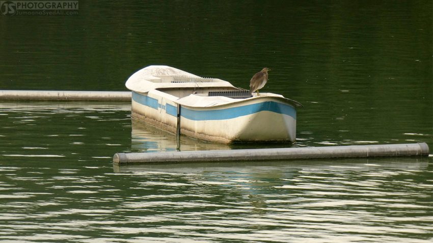 Yediyur Lake, Bangalore